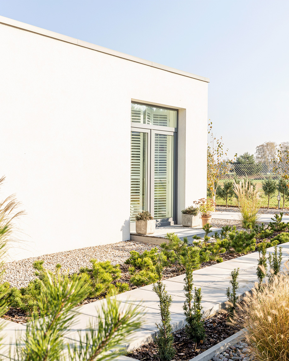 green-plants-and-shrubs-in-the-garden-of-modern-ho-2024-10-18-10-16-23-utc-1-2